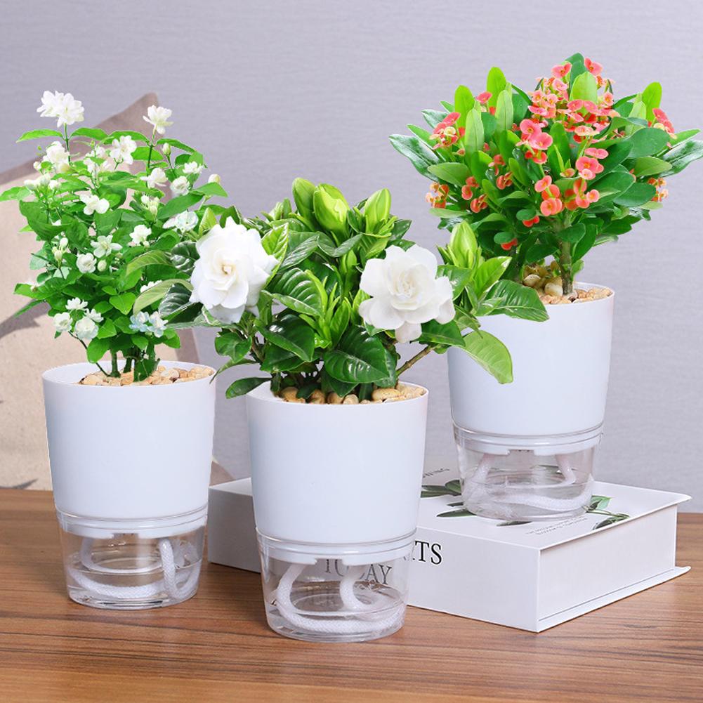 Aloe Vera Pot - Selbstbewässernder Kunststoff-Blumentopf in 3 Größen, Doppelschichtiger