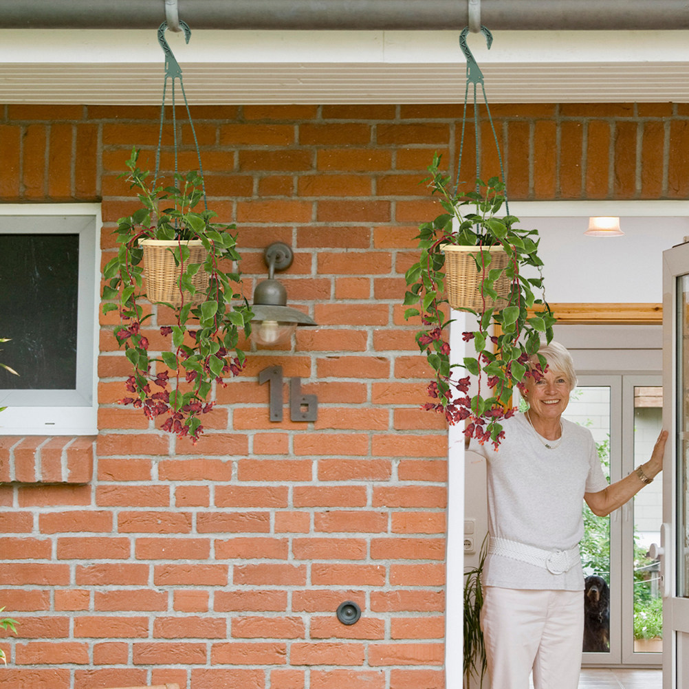 5-teiliges Set Haken für Hänge – Spider Plant Hanging Bewertung und Preis