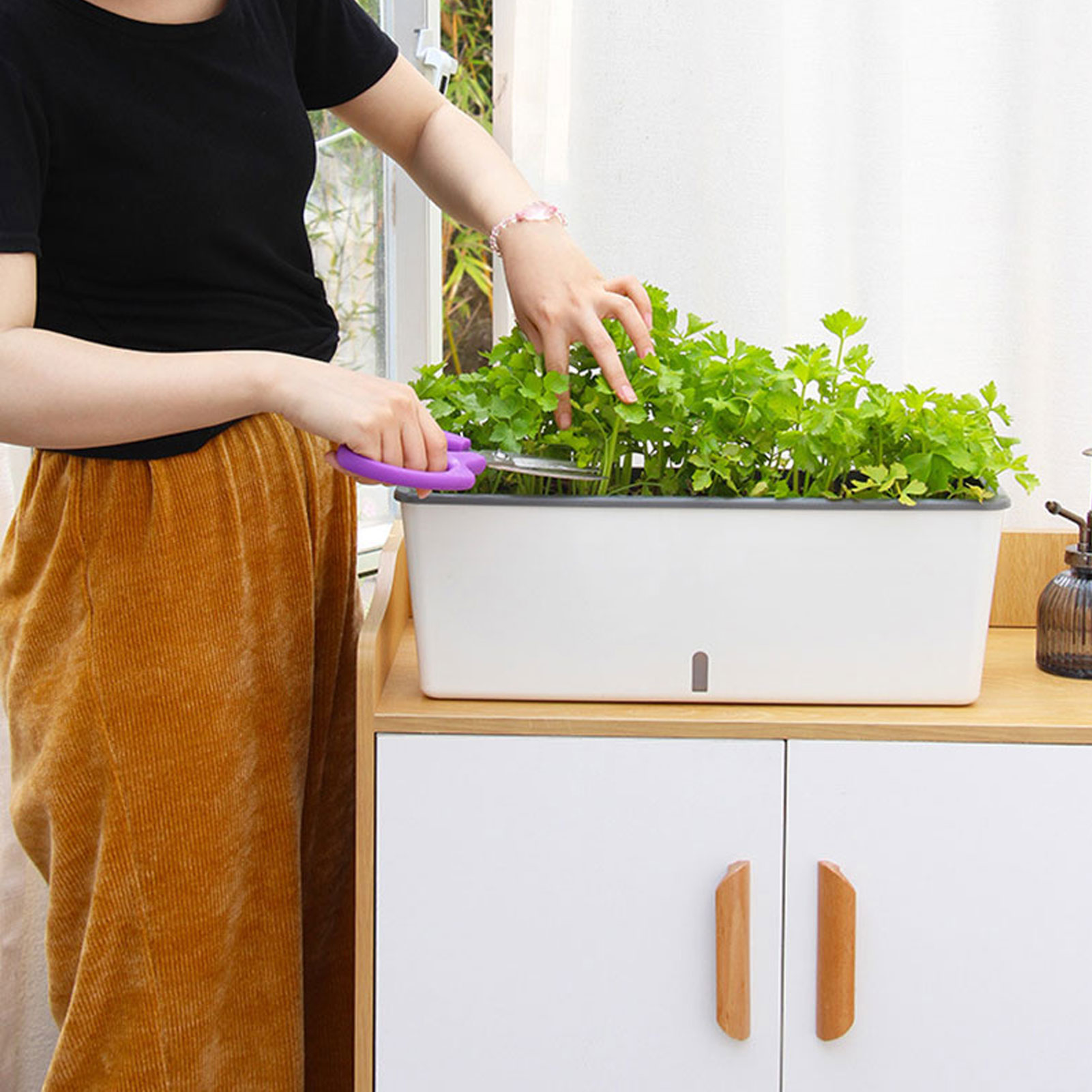 Selbstbewässernde Pflanztöpfe  – Aloe Vera Pot Bewertung und Preis