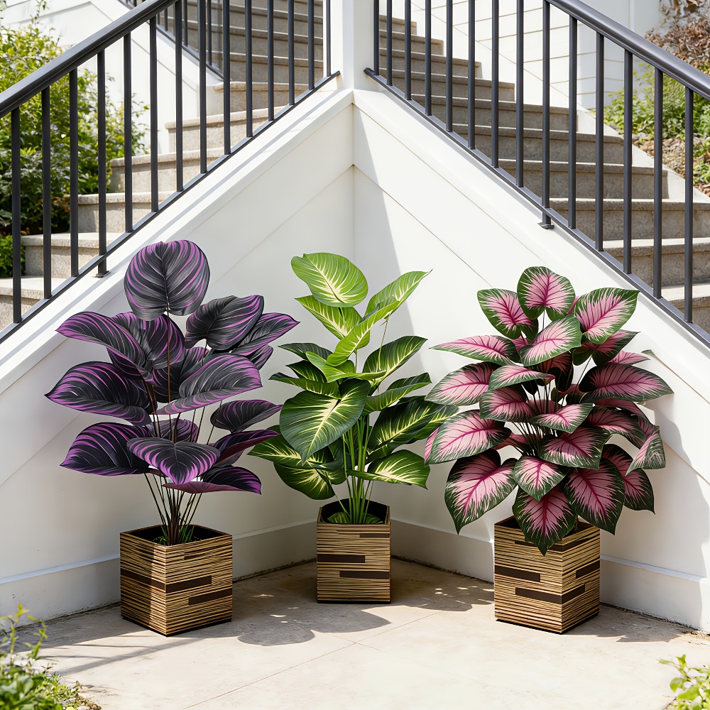 3-teiliges Set mit verschieden – Ficus Lyrata Tree Bewertung und Preis