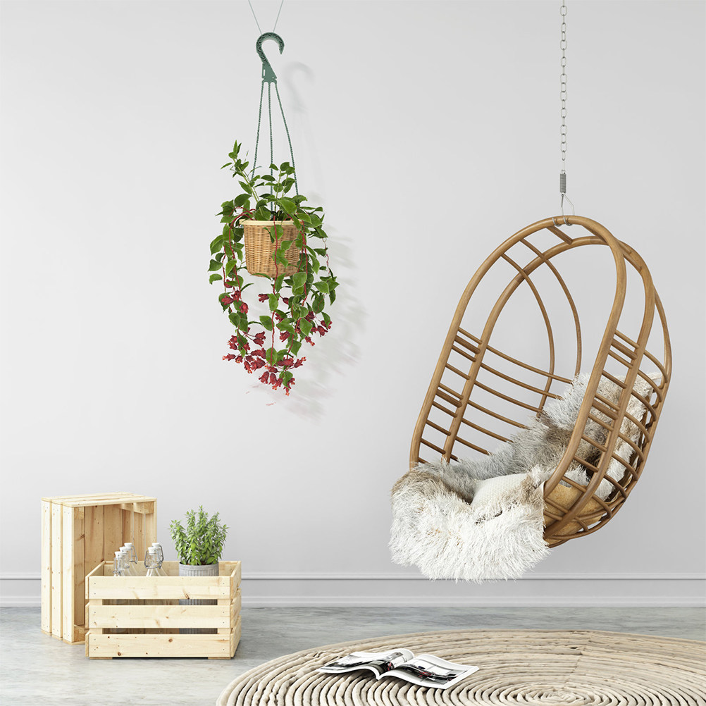 5-teiliges Set moderner minima – Spider Plant Hanging Bewertung und Preis