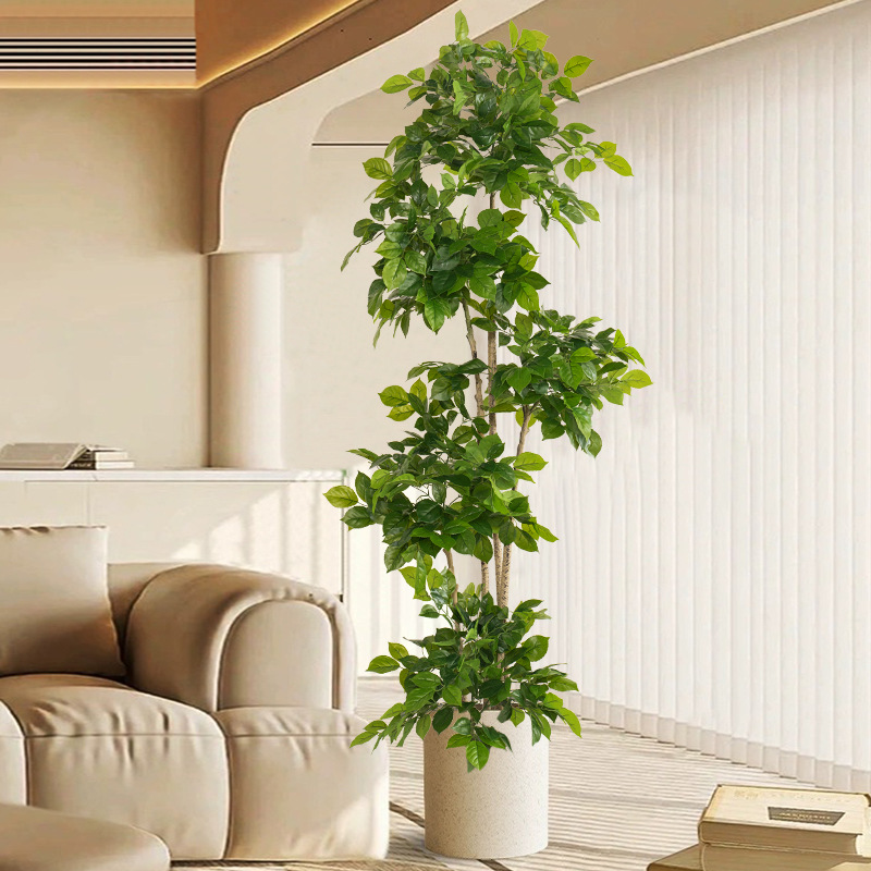 2-78 Zoll große gefälschte Pfl – Ficus Lyrata Tree Bewertung und Preis