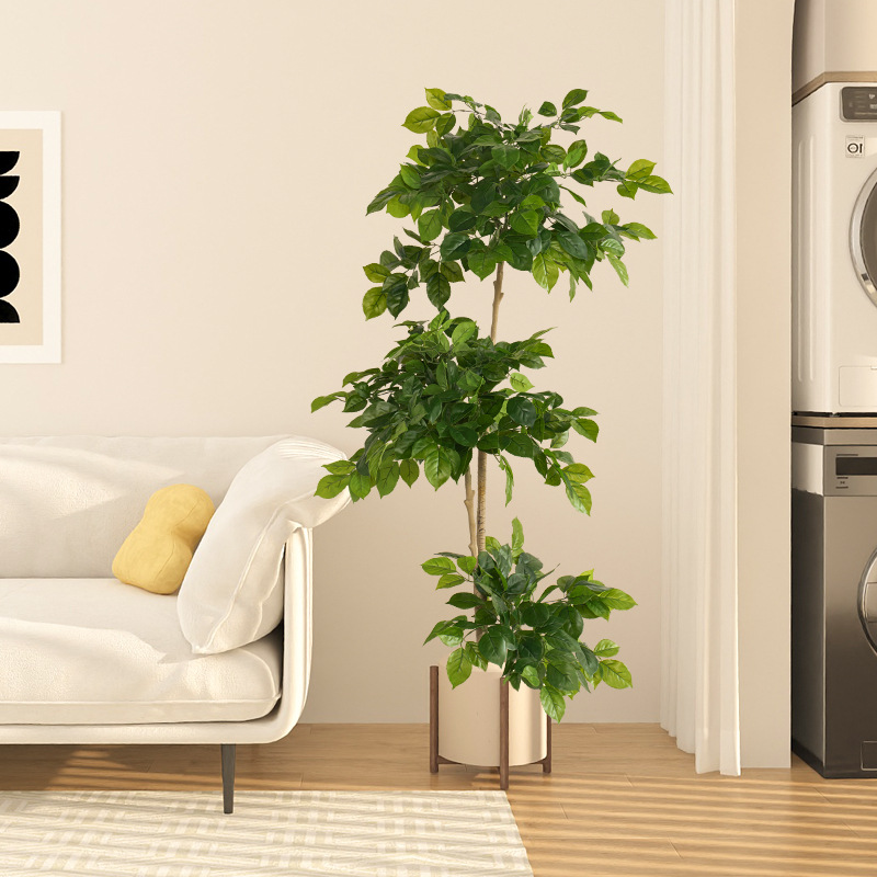 2-78 Zoll große gefälschte Pfl – Ficus Lyrata Tree Bewertung und Preis