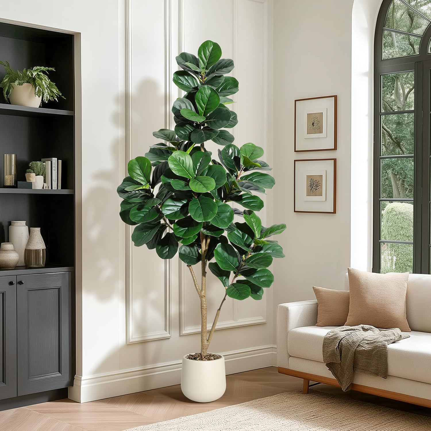 4–7 Fuß Geigenblatt-Feigenbaum – Ficus Lyrata Tree Bewertung und Preis