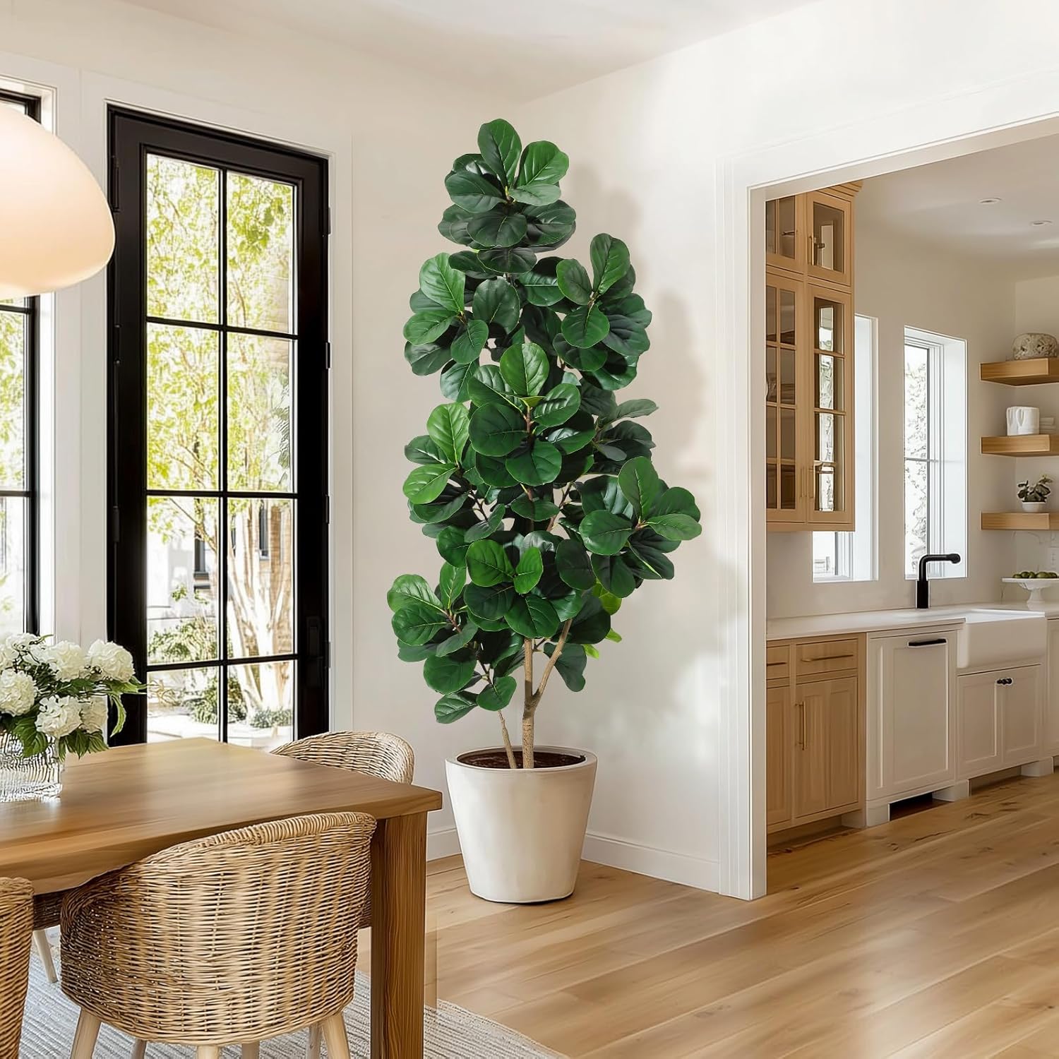 4–7 Fuß Geigenblatt-Feigenbaum – Ficus Lyrata Tree Bewertung und Preis
