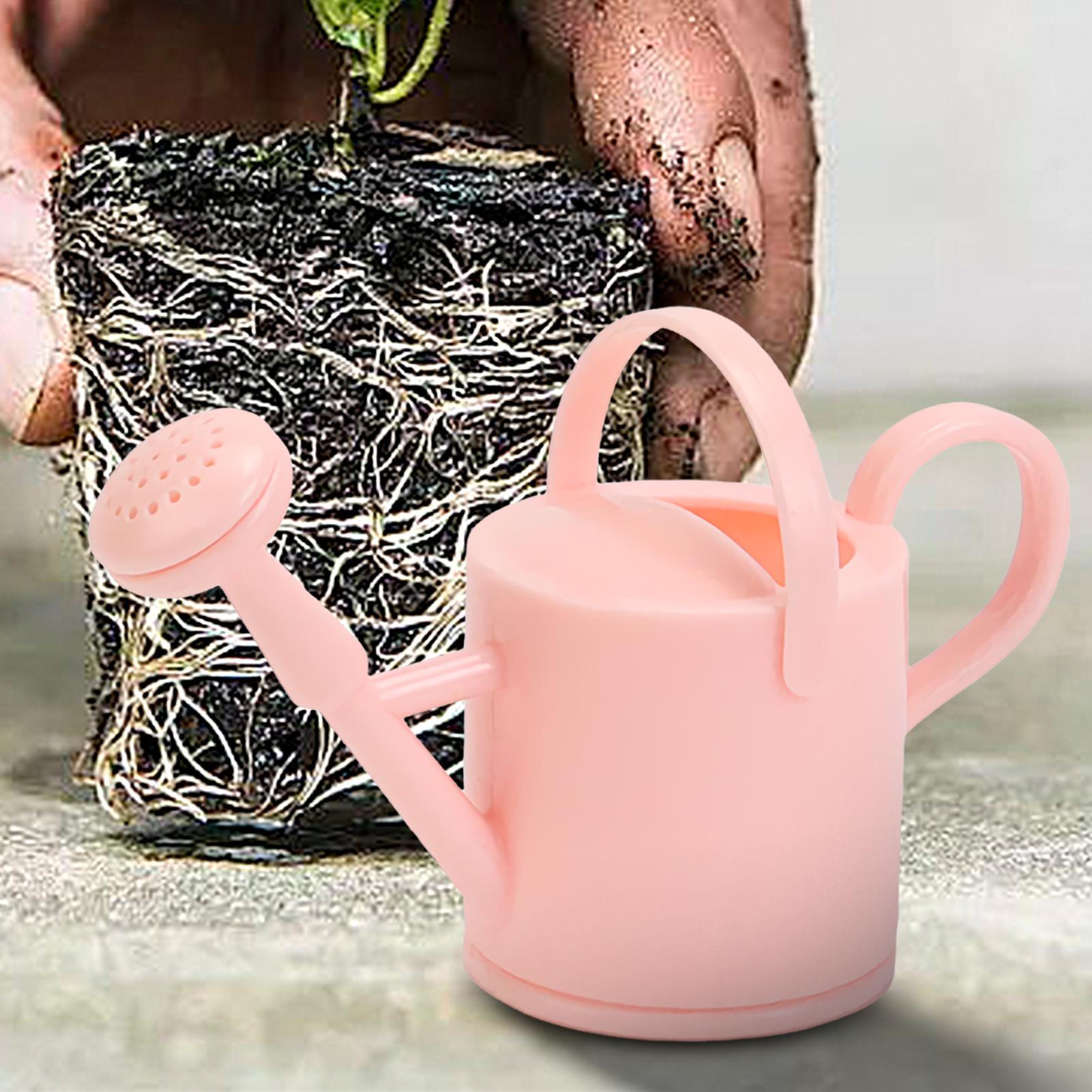 Kleine Gießkanne für Kinder, f – Echeveria Succulent Bewertung und Preis