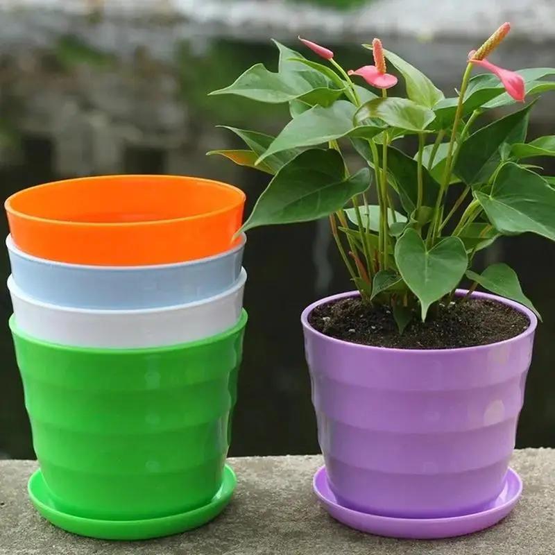 1Pcs Kunststoff Blumentopf Suk – Echeveria Succulent Bewertung und Preis