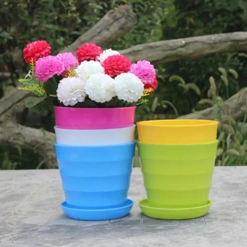 1Pcs Kunststoff Blumentopf Suk – Echeveria Succulent Bewertung und Preis