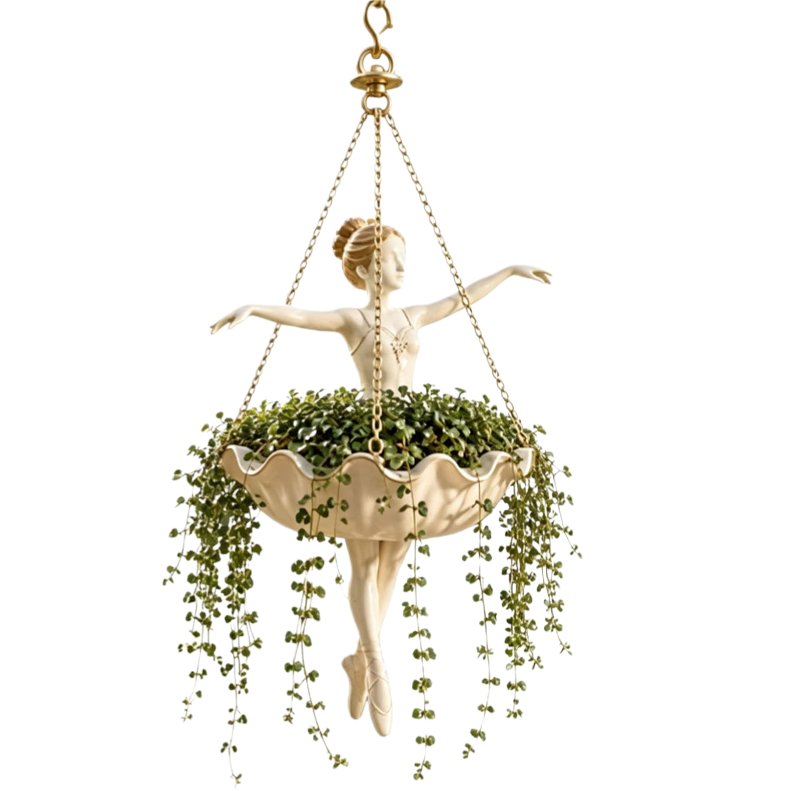Ballett-Tänzerin Hängepflanzge – Spider Plant Hanging Bewertung und Preis