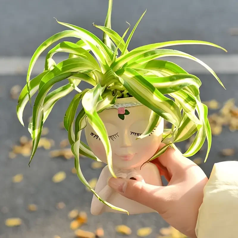 Herzförmiger Mädchen-Kunstharz – Echeveria Succulent Bewertung und Preis