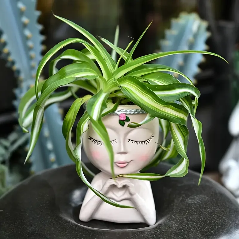 Herzförmiger Mädchen-Kunstharz – Echeveria Succulent Bewertung und Preis