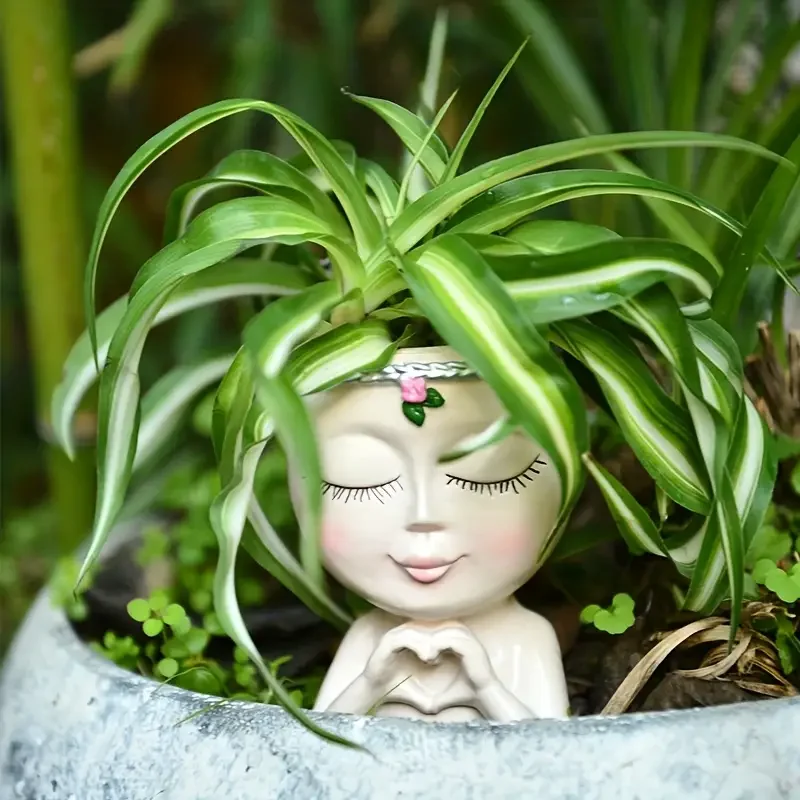 Herzförmiger Mädchen-Kunstharz – Echeveria Succulent Bewertung und Preis