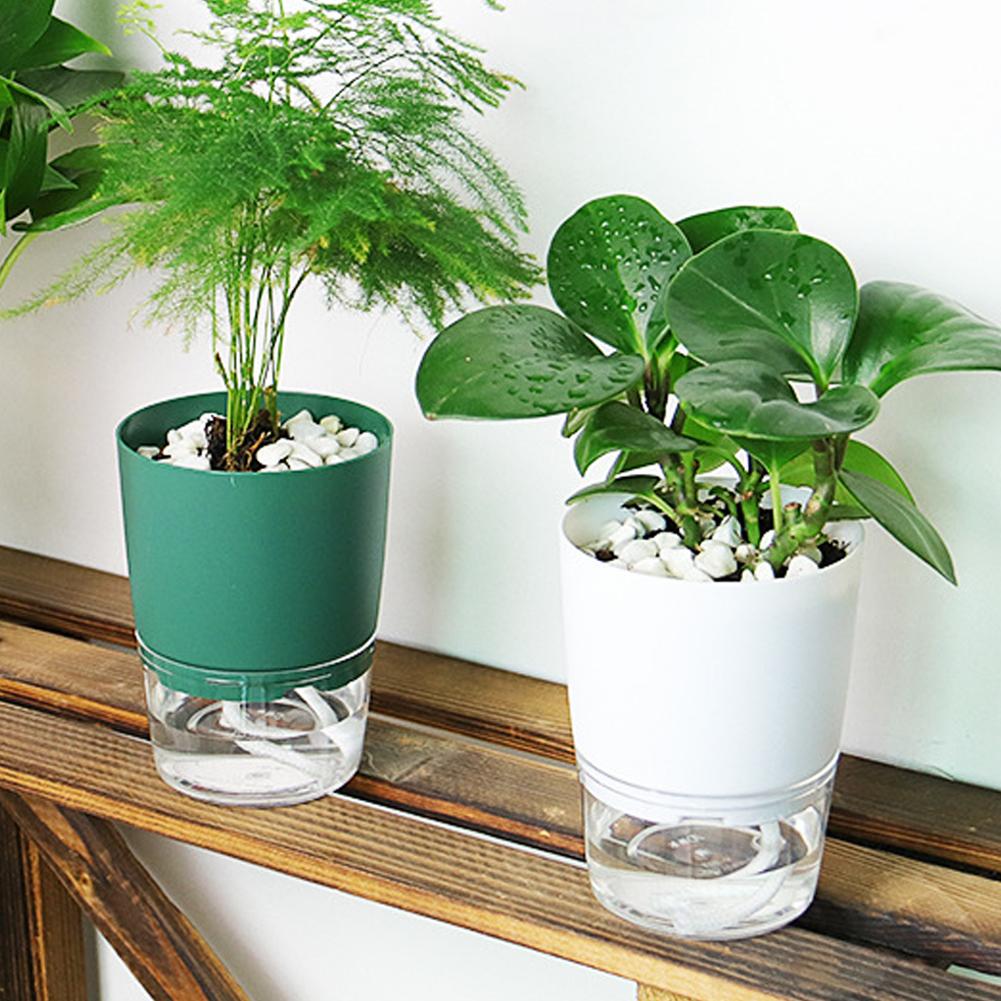Selbstbewässernder Kunststoff- – Aloe Vera Pot Bewertung und Preis